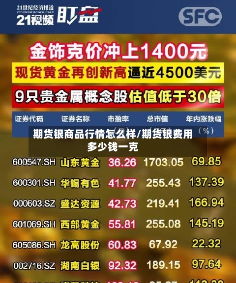 期货银商品行情怎么样/期货银费用多少钱一克-第3张图片