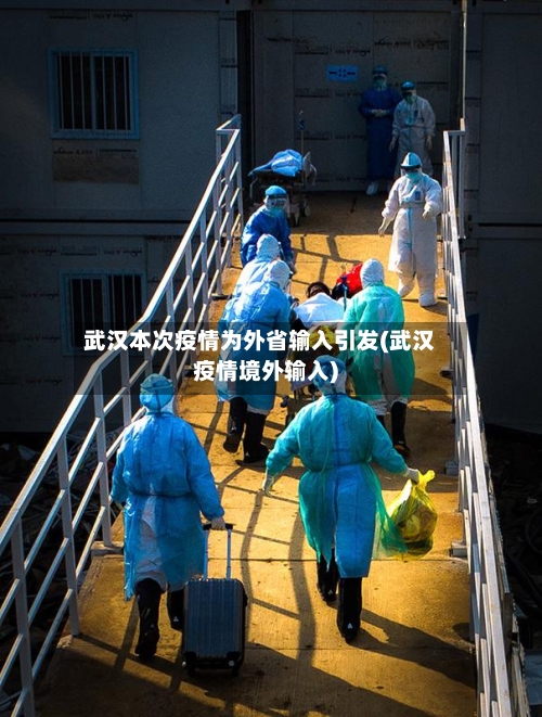 武汉本次疫情为外省输入引发(武汉疫情境外输入)-第3张图片