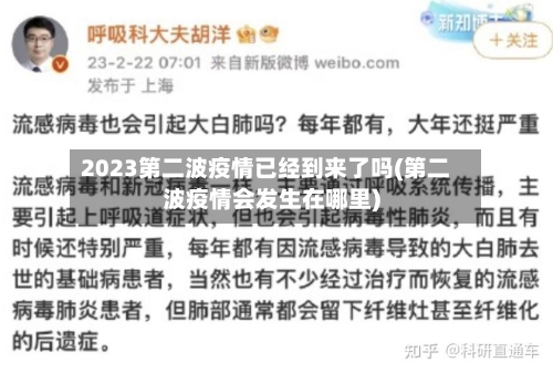 2023第二波疫情已经到来了吗(第二波疫情会发生在哪里)-第3张图片