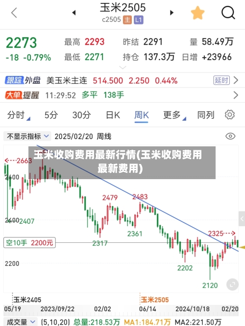 玉米收购费用最新行情(玉米收购费用最新费用)