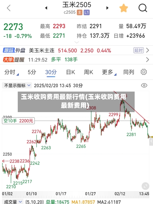 玉米收购费用最新行情(玉米收购费用最新费用)-第2张图片