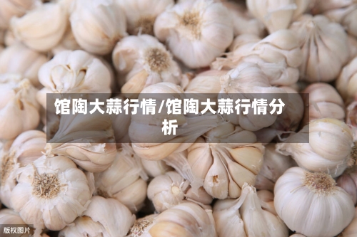 馆陶大蒜行情/馆陶大蒜行情分析