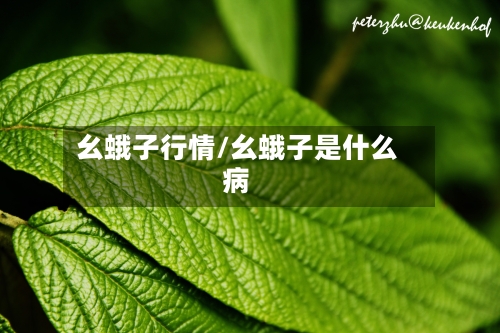幺蛾子行情/幺蛾子是什么病