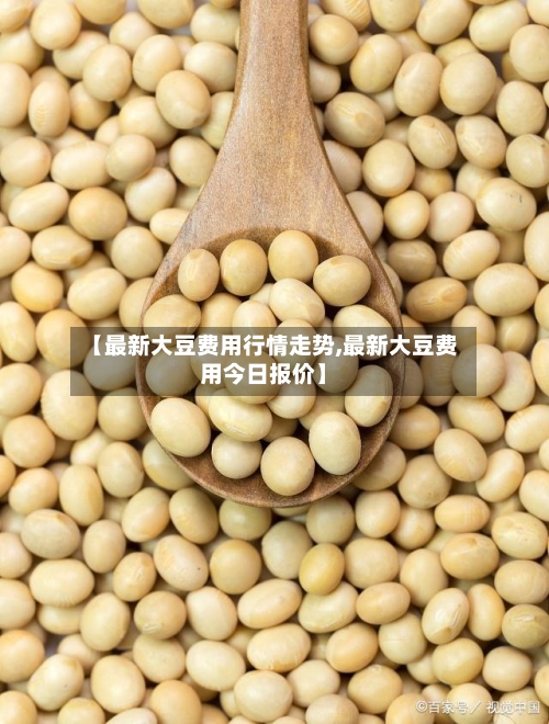 【最新大豆费用行情走势,最新大豆费用今日报价】