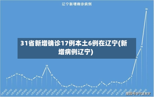 31省新增确诊17例本土6例在辽宁(新增病例辽宁)