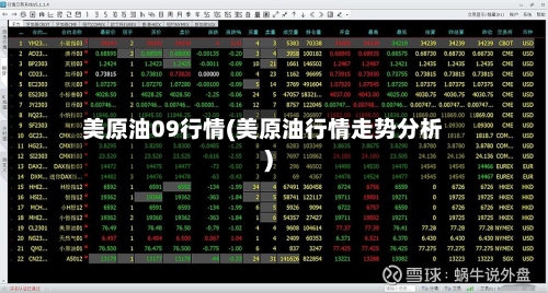 美原油09行情(美原油行情走势分析)