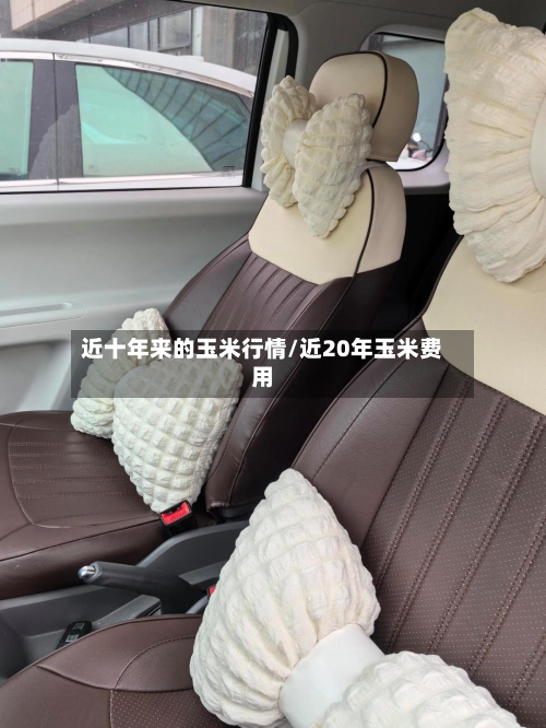 近十年来的玉米行情/近20年玉米费用-第2张图片