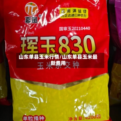 山东单县玉米行情/山东单县玉米最新费用