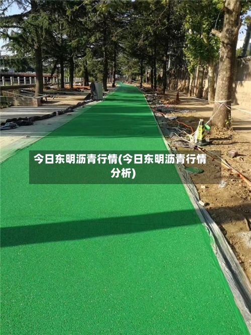 今日东明沥青行情(今日东明沥青行情分析)-第3张图片