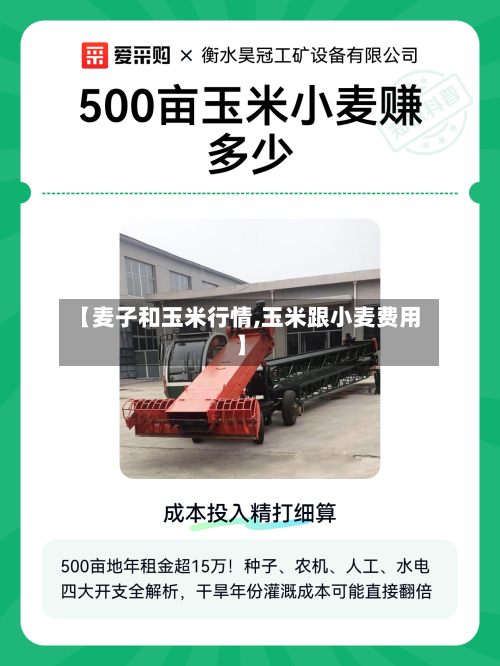 【麦子和玉米行情,玉米跟小麦费用】