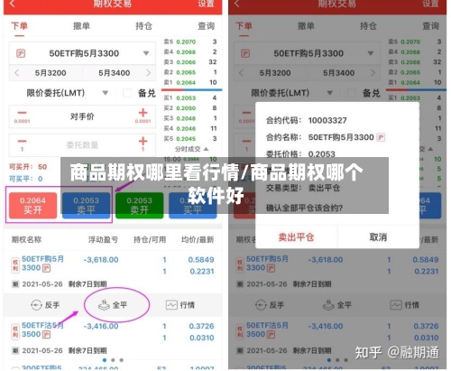 商品期权哪里看行情/商品期权哪个软件好-第2张图片