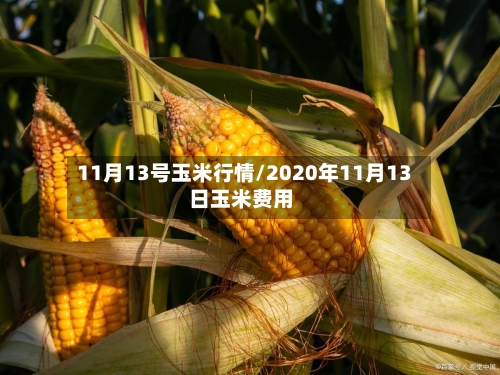11月13号玉米行情/2020年11月13日玉米费用-第3张图片