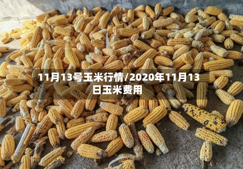 11月13号玉米行情/2020年11月13日玉米费用-第2张图片
