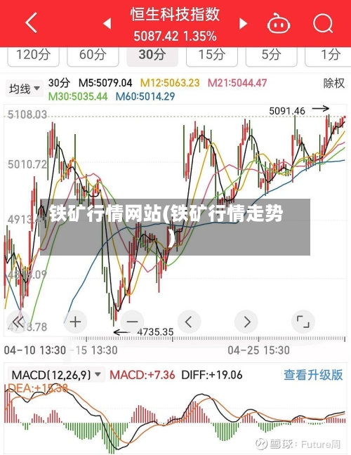 铁矿行情网站(铁矿行情走势)-第3张图片
