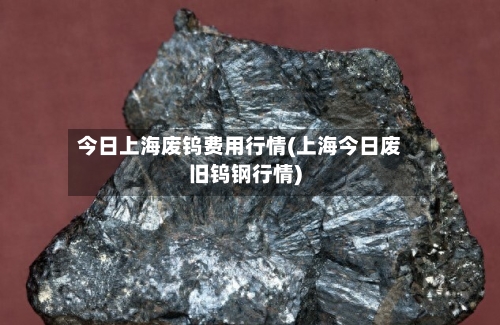 今日上海废钨费用行情(上海今日废旧钨钢行情)