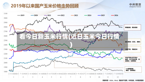 看今日新玉米行情(近日玉米今日行情)