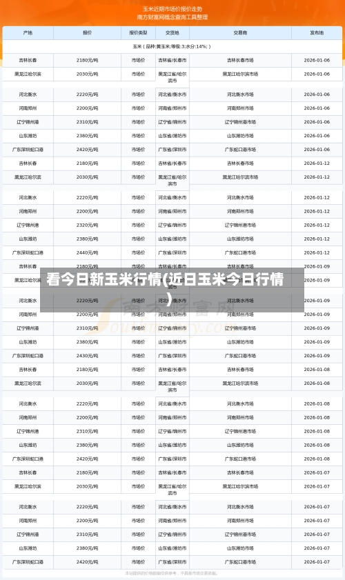 看今日新玉米行情(近日玉米今日行情)-第2张图片