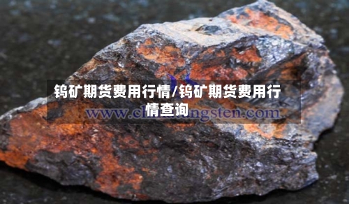 钨矿期货费用行情/钨矿期货费用行情查询-第2张图片