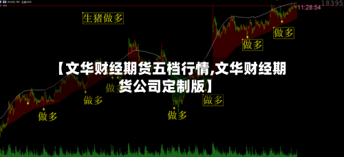 【文华财经期货五档行情,文华财经期货公司定制版】-第3张图片