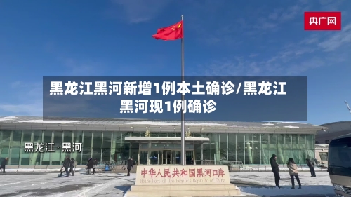 黑龙江黑河新增1例本土确诊/黑龙江黑河现1例确诊-第2张图片