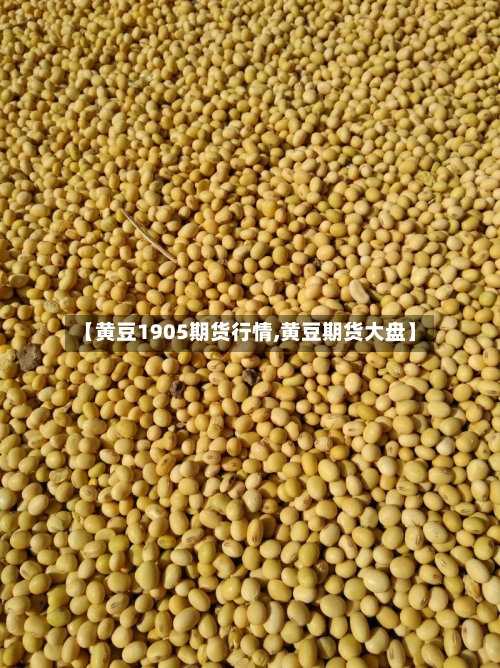 【黄豆1905期货行情,黄豆期货大盘】
