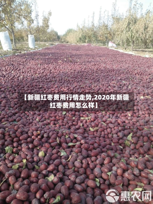 【新疆红枣费用行情走势,2020年新疆红枣费用怎么样】