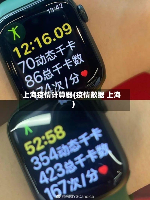 上海疫情计算器(疫情数据 上海)-第3张图片