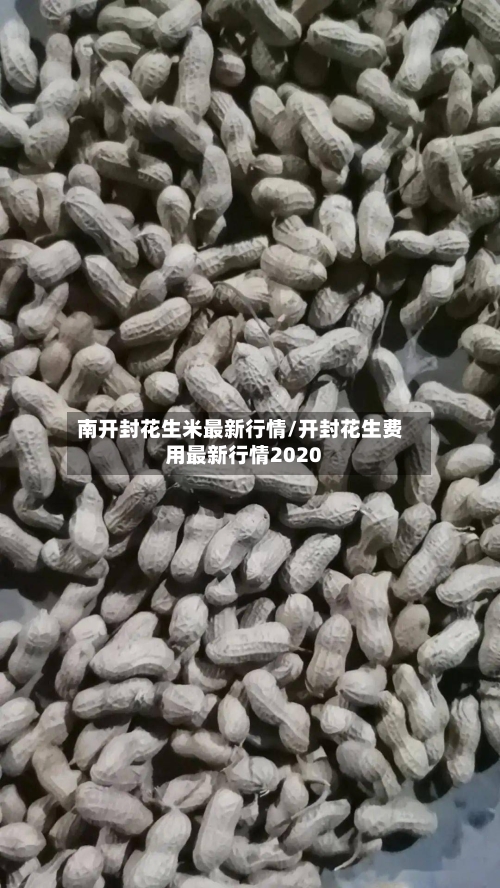 南开封花生米最新行情/开封花生费用最新行情2020