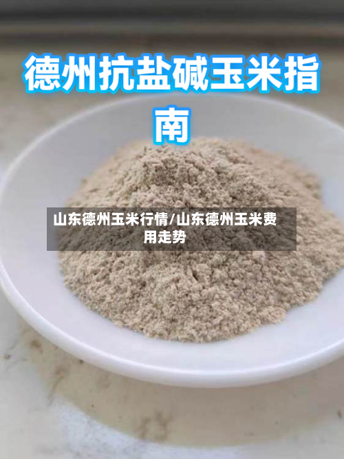 山东德州玉米行情/山东德州玉米费用走势-第2张图片
