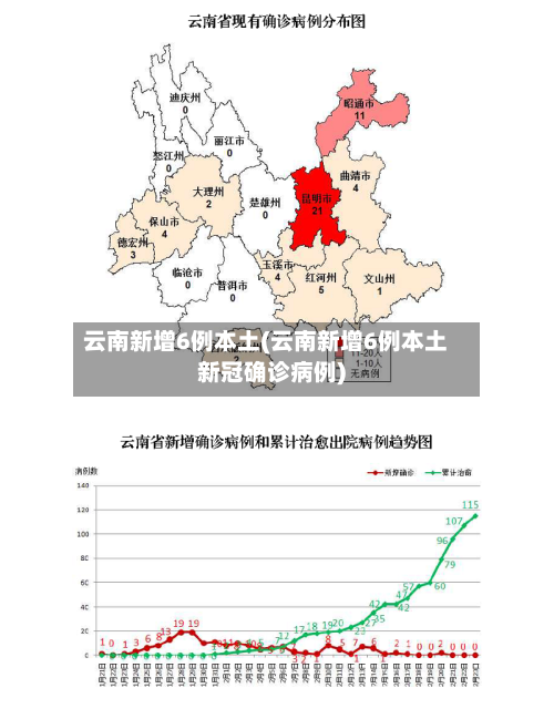 云南新增6例本土(云南新增6例本土新冠确诊病例)