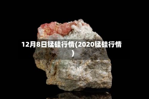 12月8日锰硅行情(2020锰硅行情)-第3张图片