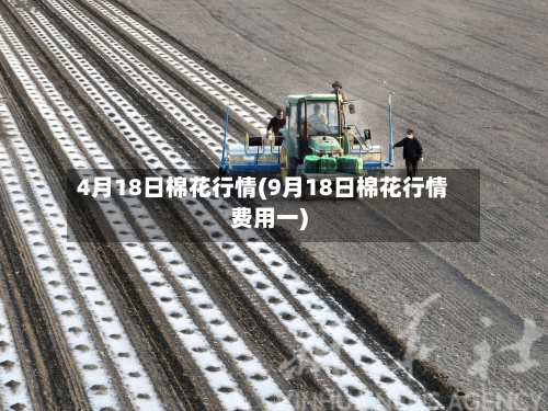 4月18日棉花行情(9月18日棉花行情费用一)