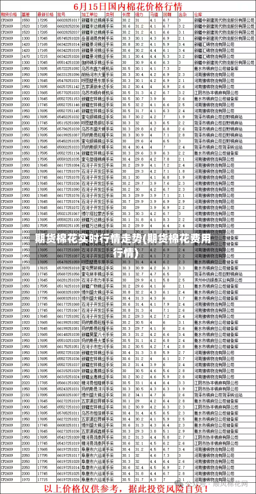 期货棉花实时行情走势(期货棉花费用行情)-第3张图片