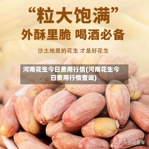 河南花生今日费用行情(河南花生今日费用行情查询)-第2张图片
