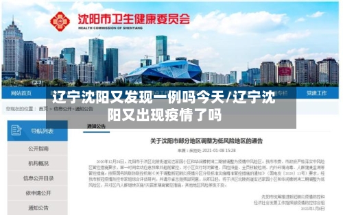 辽宁沈阳又发现一例吗今天/辽宁沈阳又出现疫情了吗-第2张图片