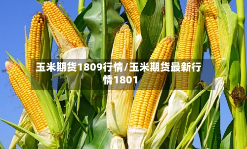 玉米期货1809行情/玉米期货最新行情1801