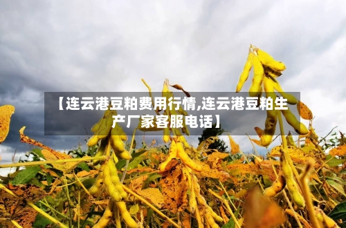 【连云港豆粕费用行情,连云港豆粕生产厂家客服电话】-第2张图片