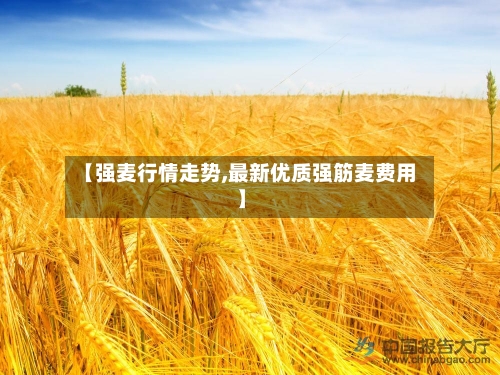 【强麦行情走势,最新优质强筋麦费用】