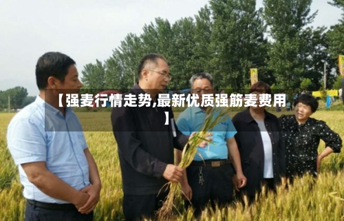 【强麦行情走势,最新优质强筋麦费用】-第2张图片