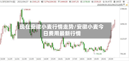 现在安徽小麦行情走势/安徽小麦今日费用最新行情