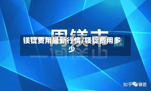 镁锭费用最新行情/镁锭费用多少-第3张图片