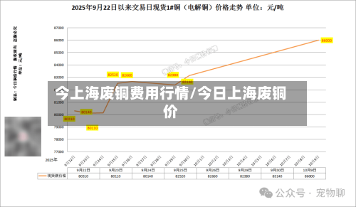 今上海废铜费用行情/今日上海废铜价