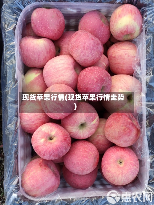 现货苹果行情(现货苹果行情走势)