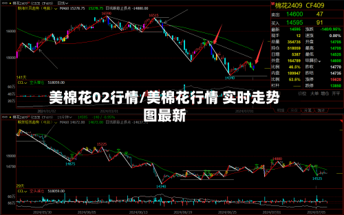 美棉花02行情/美棉花行情 实时走势图最新-第2张图片