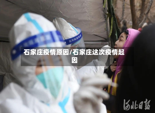 石家庄疫情原因/石家庄这次疫情起因