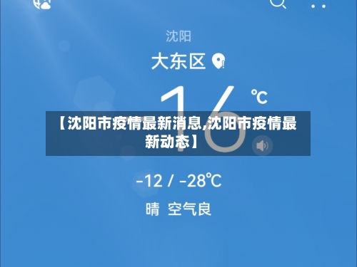 【沈阳市疫情最新消息,沈阳市疫情最新动态】-第2张图片