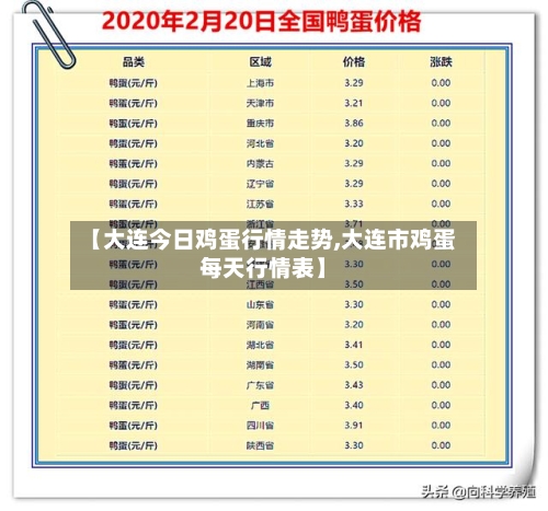 【大连今日鸡蛋行情走势,大连市鸡蛋每天行情表】-第2张图片
