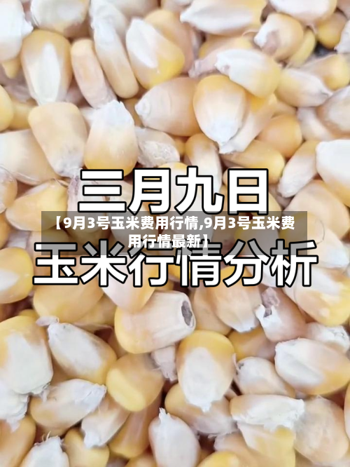 【9月3号玉米费用行情,9月3号玉米费用行情最新】-第2张图片
