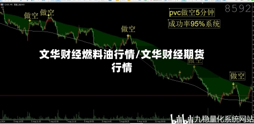 文华财经燃料油行情/文华财经期货行情-第3张图片