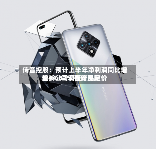 传音控股：预计上半年净利润同比增长44.82% 存储费用增长公司调整产品定价